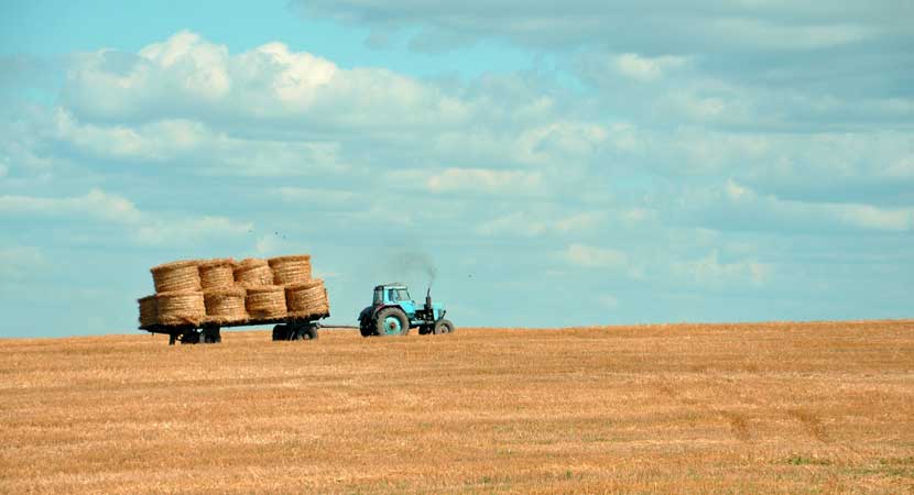 Agricultural & Crop Shipping